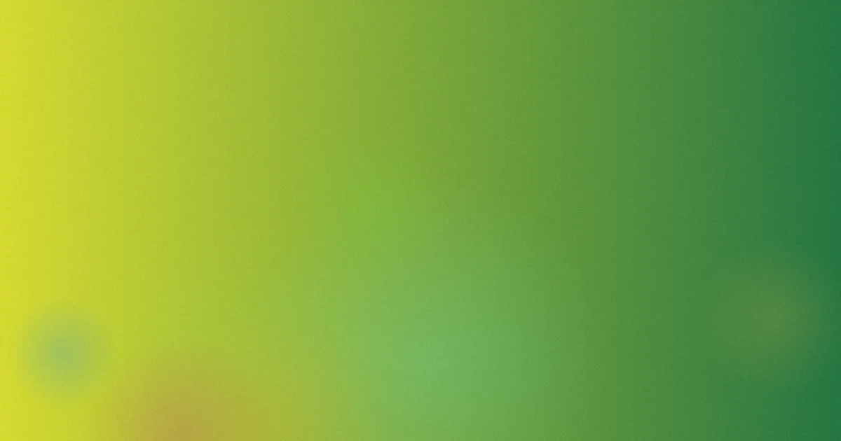 你好仲文对比：一次复盘