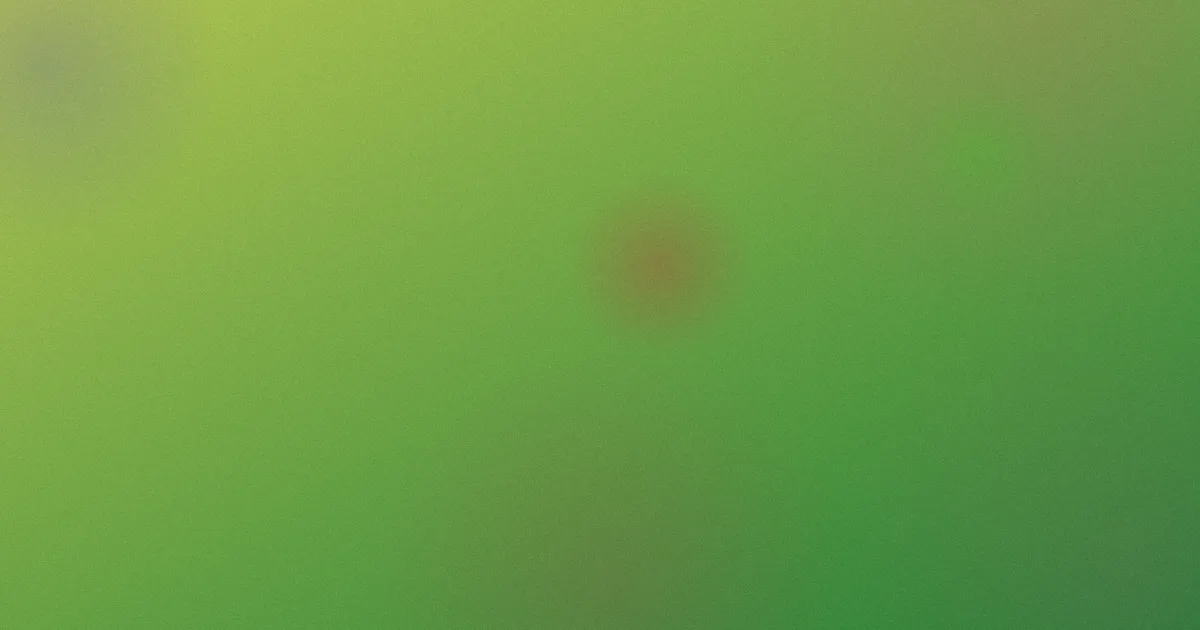 午夜福利3000推荐：新手先看